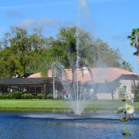 Our fountain in our pond near main entrance.