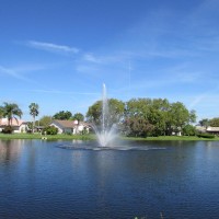 Our fountain in our pond near main entrance.
