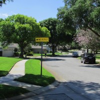 Well manicured lawns and trees.