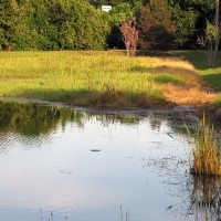 One of our scenic ponds.